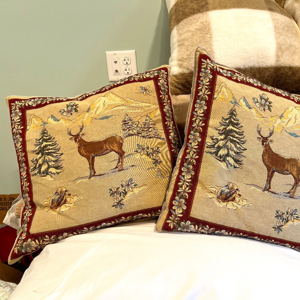 Set of 2 Decorative Pillows